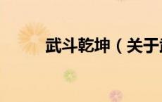武斗乾坤（关于武斗乾坤的介绍）