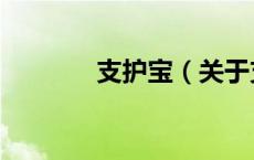 支护宝（关于支护宝的介绍）