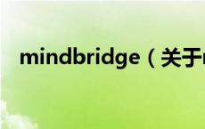 mindbridge（关于mindbridge的介绍）