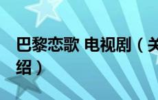 巴黎恋歌 电视剧（关于巴黎恋歌 电视剧的介绍）