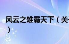 风云之雄霸天下（关于风云之雄霸天下的介绍）