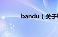 bandu（关于bandu的介绍）