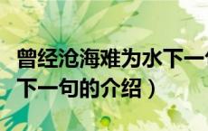 曾经沧海难为水下一句（关于曾经沧海难为水下一句的介绍）