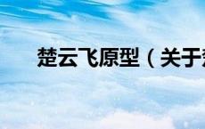 楚云飞原型（关于楚云飞原型的介绍）