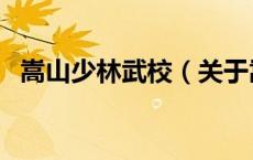 嵩山少林武校（关于嵩山少林武校的介绍）