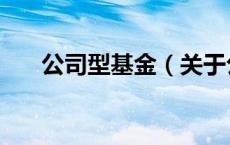 公司型基金（关于公司型基金的介绍）