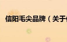 信阳毛尖品牌（关于信阳毛尖品牌的介绍）