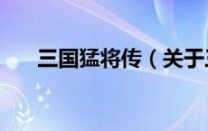 三国猛将传（关于三国猛将传的介绍）