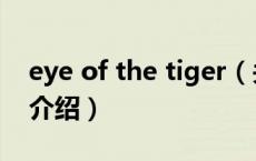 eye of the tiger（关于eye of the tiger的介绍）