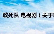 敢死队 电视剧（关于敢死队 电视剧的介绍）
