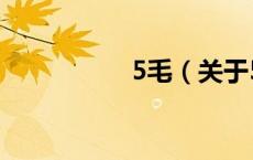 5毛（关于5毛的介绍）