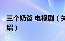 三个奶爸 电视剧（关于三个奶爸 电视剧的介绍）