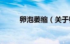 卵泡萎缩（关于卵泡萎缩的介绍）