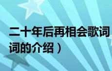 二十年后再相会歌词（关于二十年后再相会歌词的介绍）