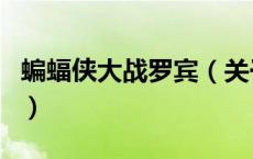 蝙蝠侠大战罗宾（关于蝙蝠侠大战罗宾的介绍）