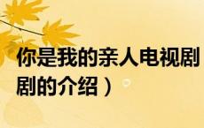 你是我的亲人电视剧（关于你是我的亲人电视剧的介绍）