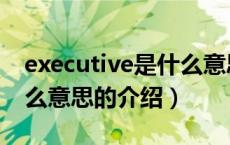 executive是什么意思（关于executive是什么意思的介绍）