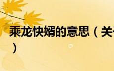 乘龙快婿的意思（关于乘龙快婿的意思的介绍）