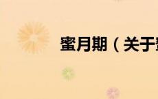 蜜月期（关于蜜月期的介绍）
