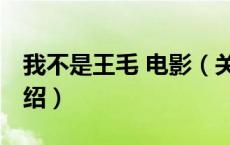 我不是王毛 电影（关于我不是王毛 电影的介绍）