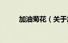 加油菊花（关于加油菊花的介绍）
