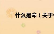 什么是命（关于什么是命的介绍）