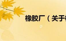 橡胶厂（关于橡胶厂的介绍）