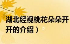 湖北经视桃花朵朵开（关于湖北经视桃花朵朵开的介绍）
