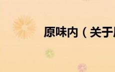 原味内（关于原味内的介绍）