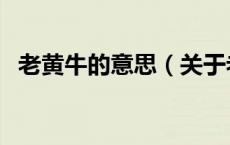 老黄牛的意思（关于老黄牛的意思的介绍）