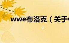 wwe布洛克（关于wwe布洛克的介绍）