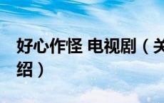 好心作怪 电视剧（关于好心作怪 电视剧的介绍）
