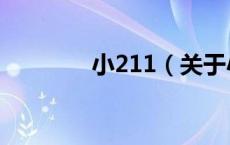 小211（关于小211的介绍）