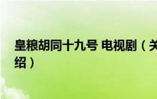 皇粮胡同十九号 电视剧（关于皇粮胡同十九号 电视剧的介绍）