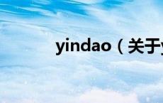 yindao（关于yindao的介绍）
