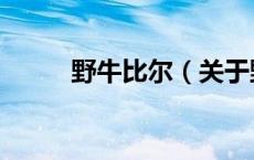 野牛比尔（关于野牛比尔的介绍）