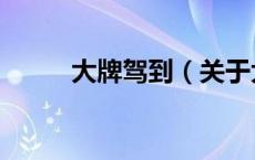 大牌驾到（关于大牌驾到的介绍）