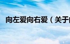 向左爱向右爱（关于向左爱向右爱的介绍）