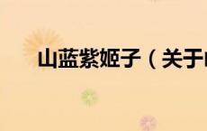 山蓝紫姬子（关于山蓝紫姬子的介绍）
