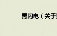 黑闪电（关于黑闪电的介绍）