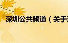 深圳公共频道（关于深圳公共频道的介绍）
