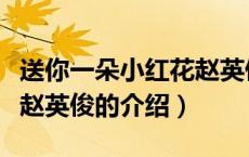 送你一朵小红花赵英俊（关于送你一朵小红花赵英俊的介绍）