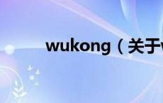 wukong（关于wukong的介绍）