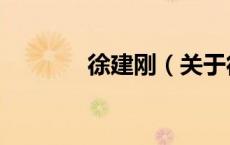 徐建刚（关于徐建刚的介绍）