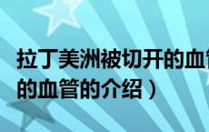 拉丁美洲被切开的血管（关于拉丁美洲被切开的血管的介绍）