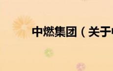 中燃集团（关于中燃集团的介绍）