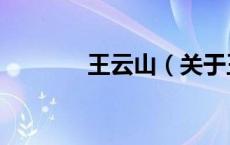 王云山（关于王云山的介绍）
