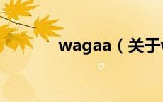 wagaa（关于wagaa的介绍）