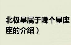 北极星属于哪个星座（关于北极星属于哪个星座的介绍）
