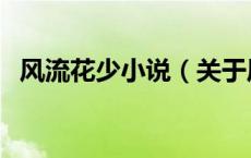 风流花少小说（关于风流花少小说的介绍）